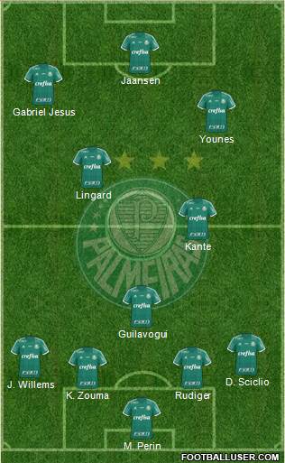 SE Palmeiras Formation 2016