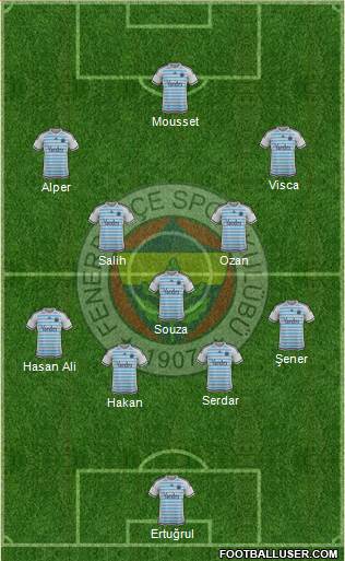 Fenerbahçe SK Formation 2016