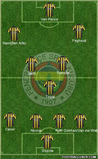 Fenerbahçe SK Formation 2016
