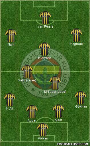 Fenerbahçe SK Formation 2016