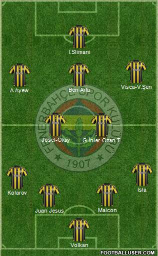 Fenerbahçe SK Formation 2016
