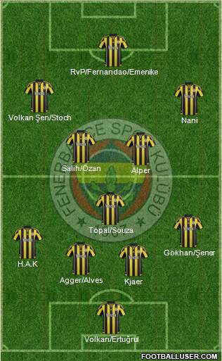 Fenerbahçe SK Formation 2016