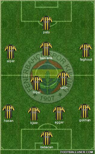 Fenerbahçe SK Formation 2016