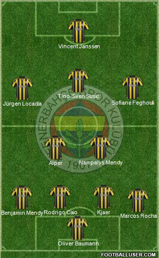Fenerbahçe SK Formation 2016