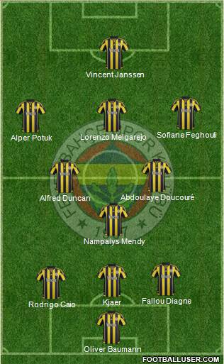 Fenerbahçe SK Formation 2016