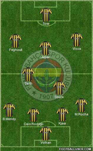 Fenerbahçe SK Formation 2016