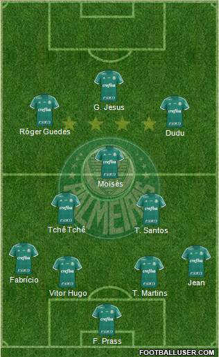 SE Palmeiras Formation 2016