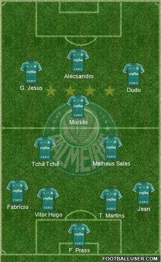 SE Palmeiras Formation 2016