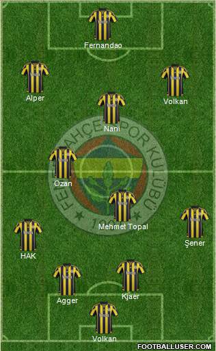 Fenerbahçe SK Formation 2016