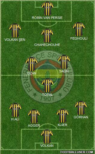 Fenerbahçe SK Formation 2016