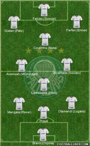 SE Palmeiras Formation 2016