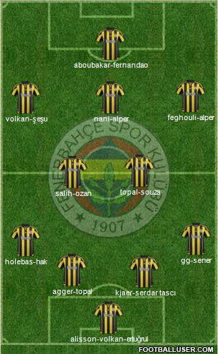 Fenerbahçe SK Formation 2016