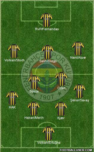 Fenerbahçe SK Formation 2016