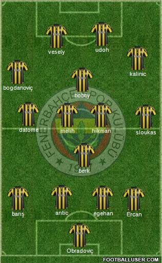Fenerbahçe SK Formation 2016
