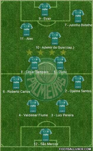 SE Palmeiras Formation 2016