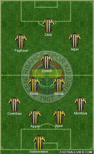 Fenerbahçe SK Formation 2016