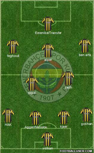 Fenerbahçe SK Formation 2016