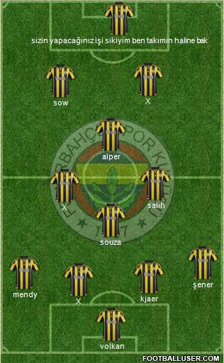 Fenerbahçe SK Formation 2016