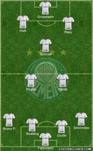 SE Palmeiras Formation 2016