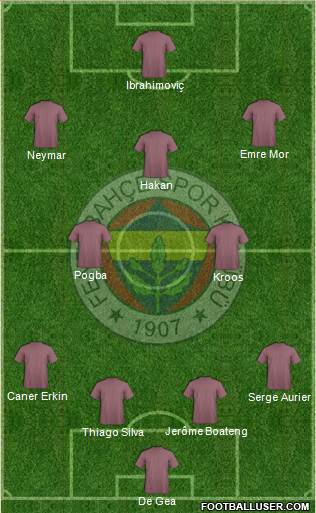 Fenerbahçe SK Formation 2016