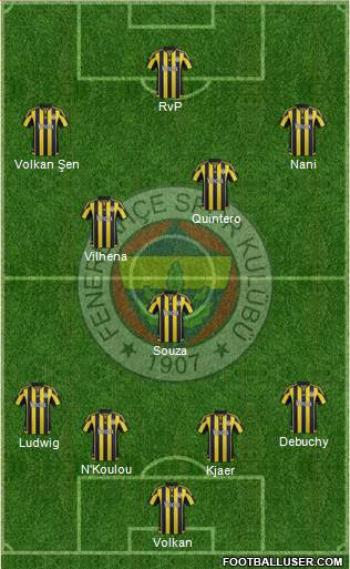 Fenerbahçe SK Formation 2016