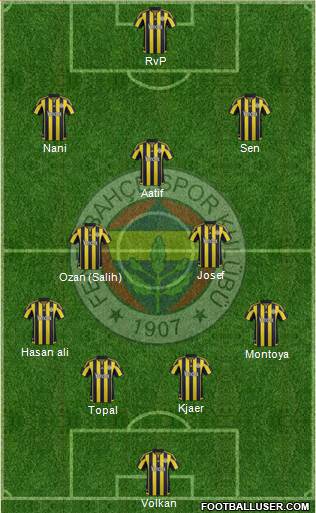 Fenerbahçe SK Formation 2016