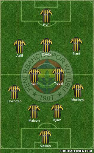 Fenerbahçe SK Formation 2016