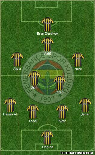 Fenerbahçe SK Formation 2016