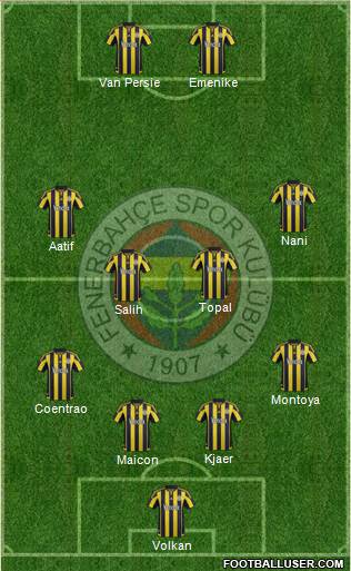 Fenerbahçe SK Formation 2016