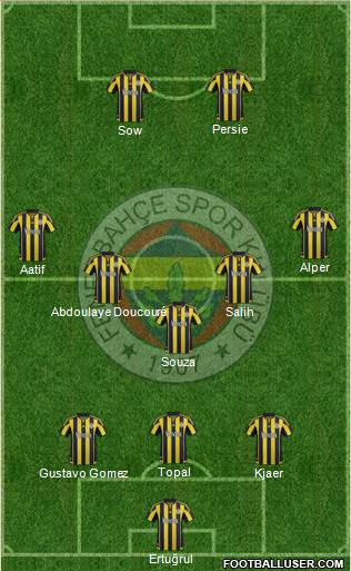 Fenerbahçe SK Formation 2016
