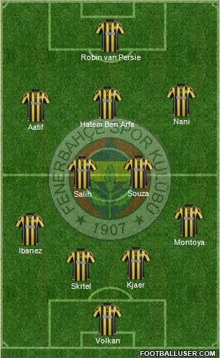 Fenerbahçe SK Formation 2016