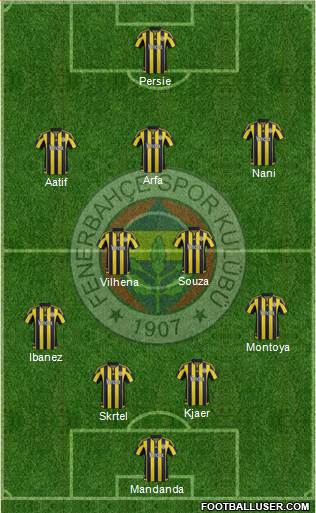 Fenerbahçe SK Formation 2016