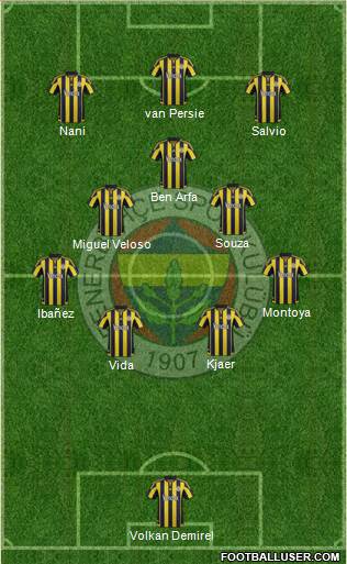 Fenerbahçe SK Formation 2016
