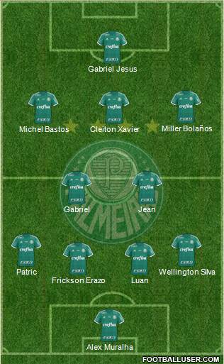 SE Palmeiras Formation 2016