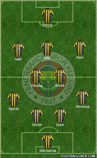 Fenerbahçe SK Formation 2016