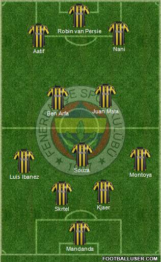 Fenerbahçe SK Formation 2016
