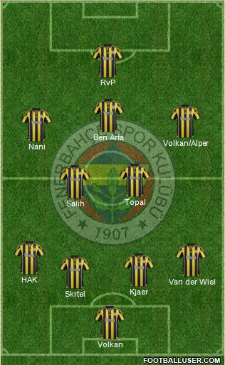 Fenerbahçe SK Formation 2016