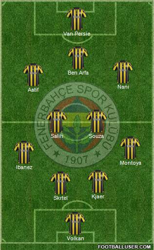 Fenerbahçe SK Formation 2016