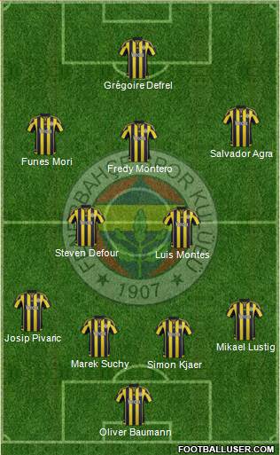 Fenerbahçe SK Formation 2016