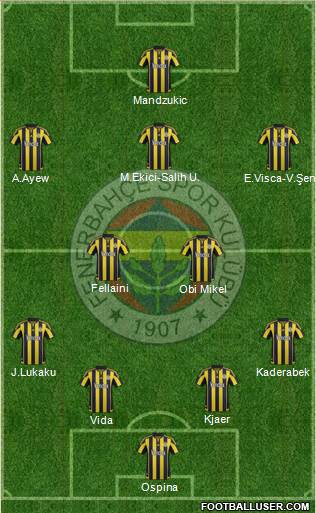 Fenerbahçe SK Formation 2016