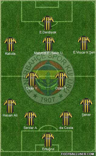 Fenerbahçe SK Formation 2016