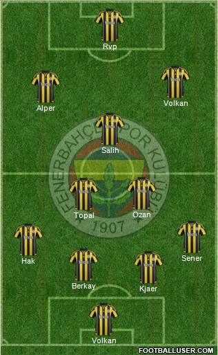 Fenerbahçe SK Formation 2016
