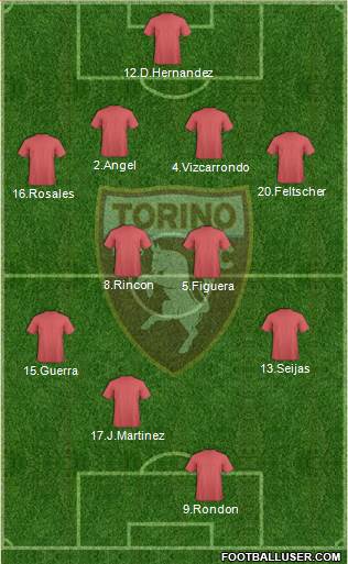 Torino Formation 2016