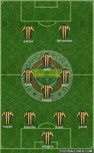 Fenerbahçe SK Formation 2016