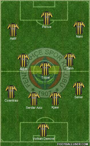 Fenerbahçe SK Formation 2016