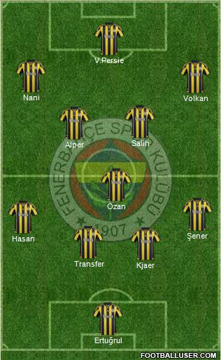 Fenerbahçe SK Formation 2016