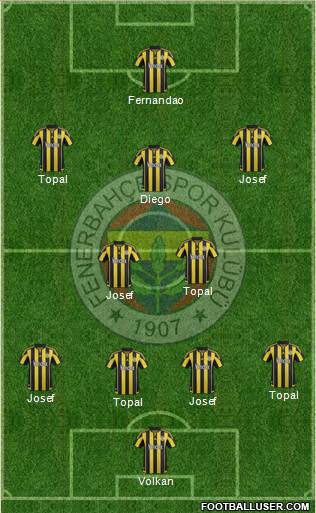 Fenerbahçe SK Formation 2016