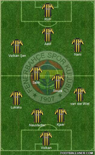 Fenerbahçe SK Formation 2016