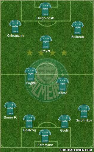 SE Palmeiras Formation 2016