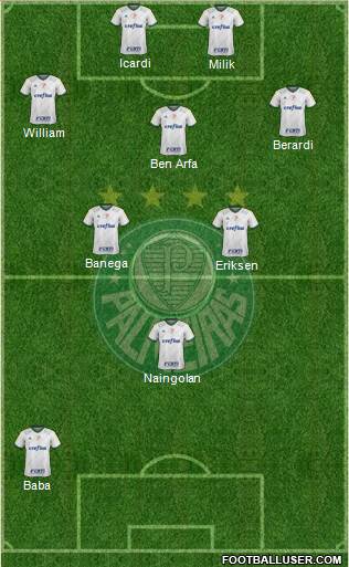 SE Palmeiras Formation 2016